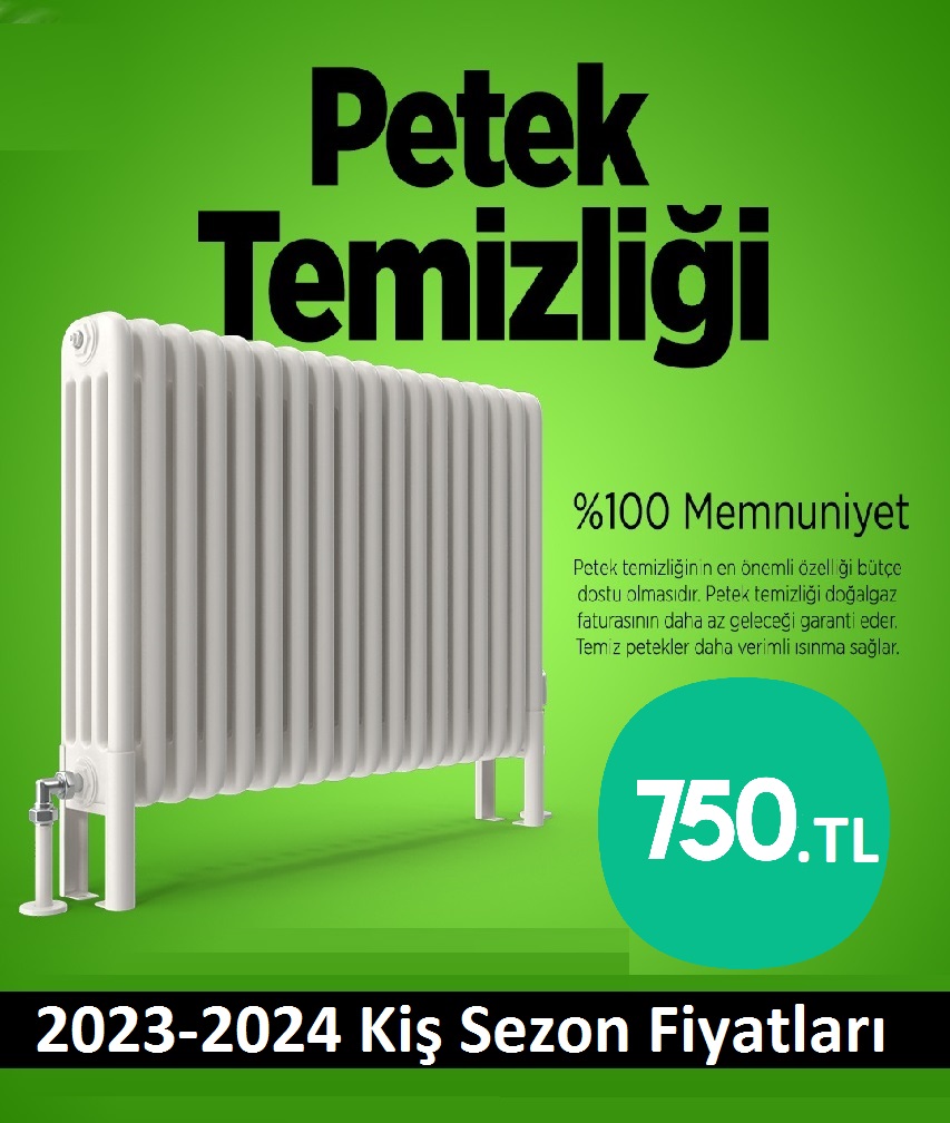 Tuzla Petek Temizliği Tek Fiyat Teklifi Al